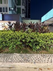 Ang Mo Kio Avenue 8 (D20), Shop House #611822531
